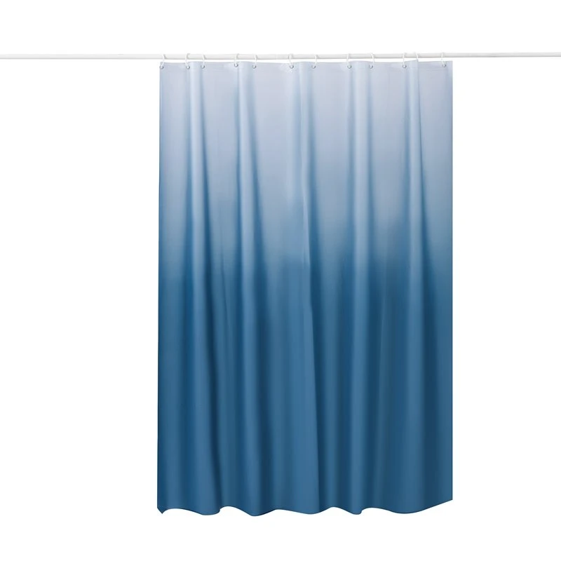 blue shower curtain.JPG